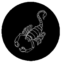 malaspinaofficial leo cancer horoscope aries Sticker