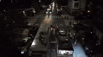 New York Brooklyn GIF by dupreegod