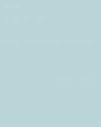 Consume Local La Vecina GIF by Agencia La Vecina