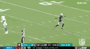 Las Vegas Raiders Football GIF by NFL