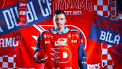 Hockeytown GIF by HC Dynamo Pardubice