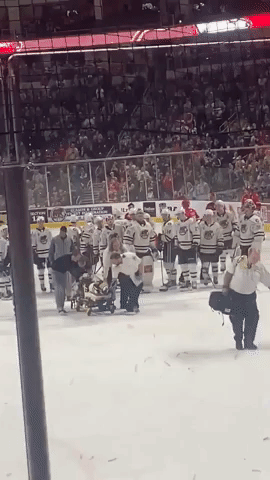 Hockey Player Kale Kessy Knocked Out in Fight, Stretchered Off Ice