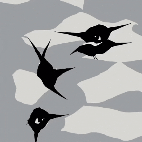 Bg Network GIF by Aleksey Efremov