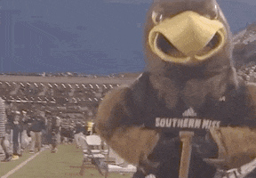 Golden Eagles Yes GIF by Southern Miss Athletics