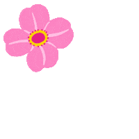 ChickAdvisor flower power cherry blossoms pink flowers butterly Sticker