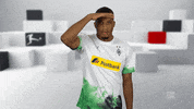France Reaction GIF by Bundesliga