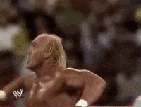 Hulk Hogan Sport GIF by WWE