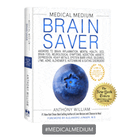 Mental Health Brain Sticker by Medical Medium