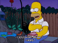 homer simpson episode 21 GIF
