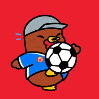 Football Soccer GIF by COQINU