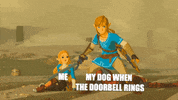 Legend Of Zelda Dogs GIF
