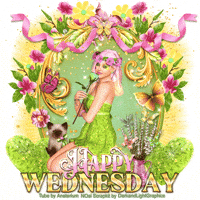 Happy Wednesday GIF