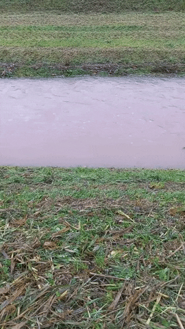 Simongip giphyupload GIF