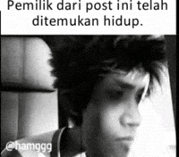 The Owner Meme Indo GIF