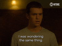 Season 1 Episode 10 GIF by SHOWTIME