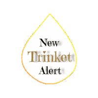 Got Trinkets Sticker by Trinket Gawds