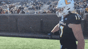 Gomocs GIF by Chattanooga Mocs