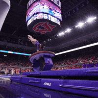 Happy Sport GIF by LSU Tigers