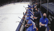 Hockey Isles GIF by New York Islanders