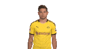 Happy Borussia Dortmund Sticker by Bundesliga