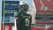 College Football GIF by USF Athletics