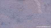 Driving German GIF by Namaste Car