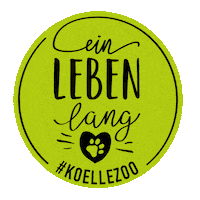 koellezoo heart pet herz paw Sticker