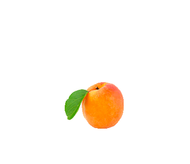 apricot turnuptheglow Sticker by Stives