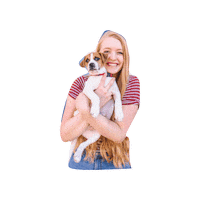 Teddy Bear Dogs Sticker by Taylor Starcher