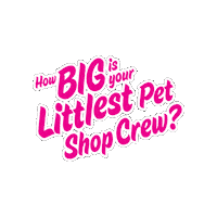 Gang Crew Sticker by Basic Fun!