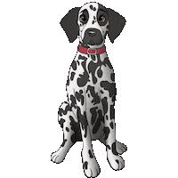 Yr Dalmatian Sticker