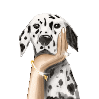 Dalmatian Sticker