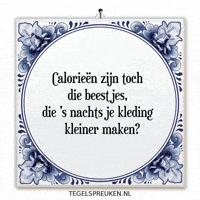 Humor Spiegel GIF by Tegelspreuken.nl