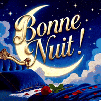 Bonne Nuit GIF by TresorsDuMonde.ca