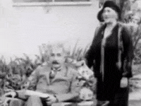 albert einstein GIF
