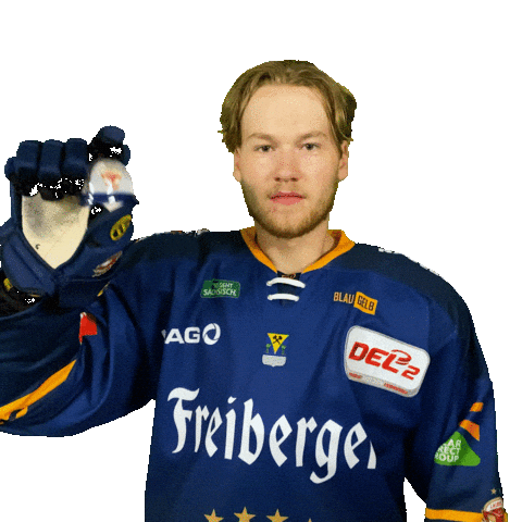 Sport Christmas Sticker by Lausitzer Füchse