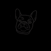 French Bulldog Penelope GIF by Lush Interior Design