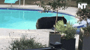 breaking news GIF by NowThis 