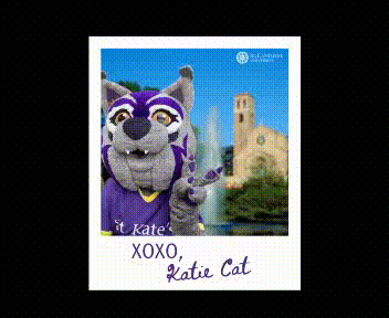 stkate giphyupload GIF