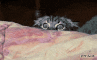 sneaky GIF