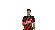 Coffee Break Sticker by Eintracht Frankfurt