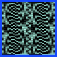 glitch art moire GIF by William Wolfgang Wunderbar