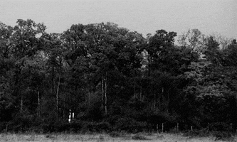 village of the damned wolf rilla GIF by Maudit