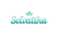 Radio Fiesta Sticker by Selvatika