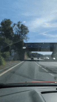 GIF by Stella 52