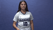 Ususoccer GIF by USUAthletics