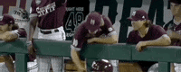 College World Series Baseball GIF by NCAA Championships