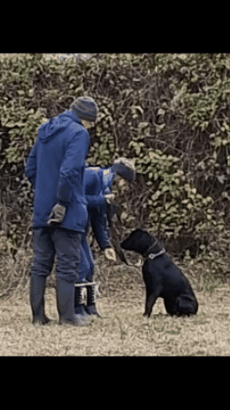 Simongip giphygifmaker GIF