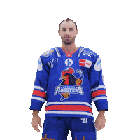 Sport Love Sticker by Iserlohn Roosters