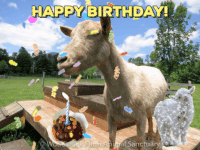 GIF by REBEKAH